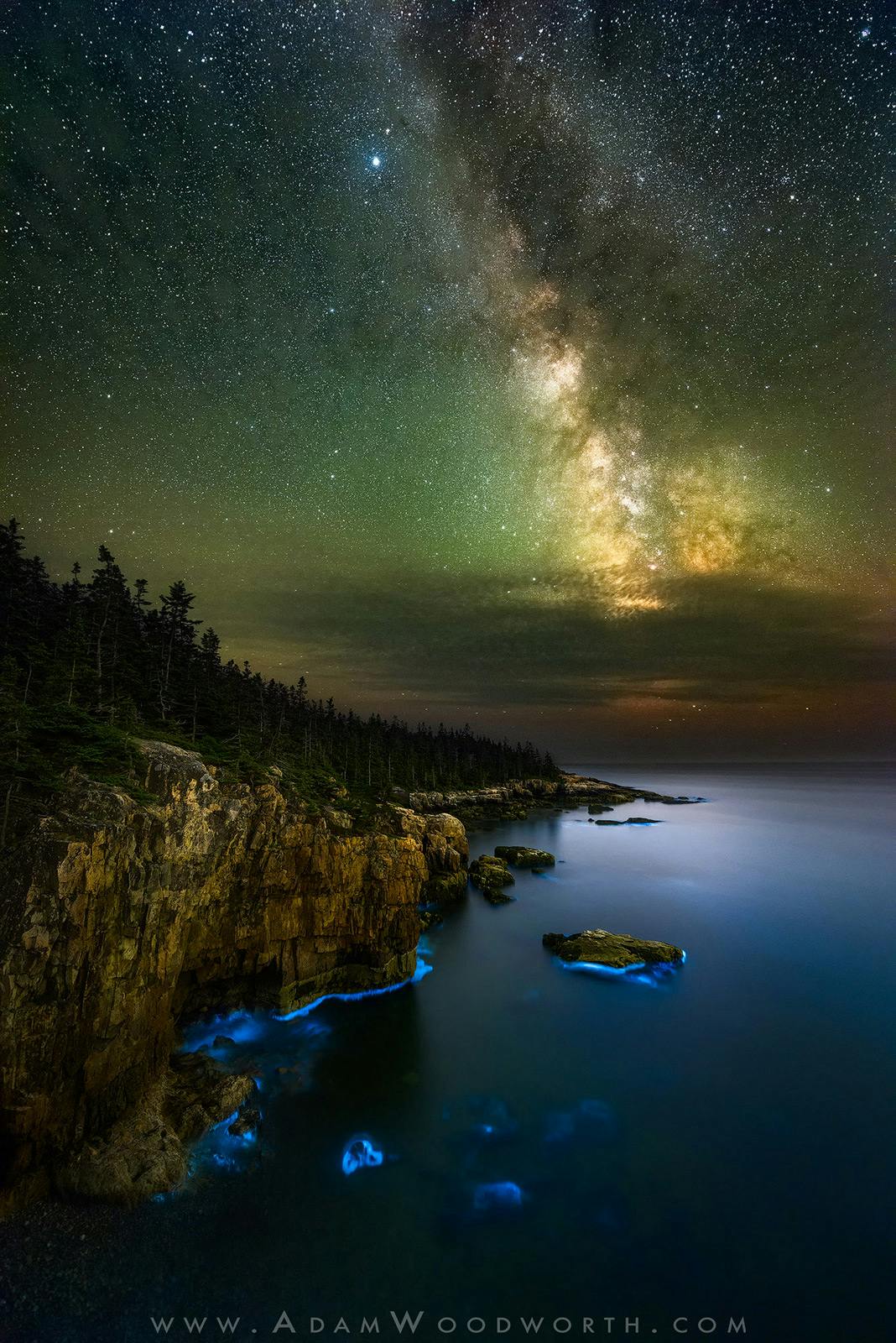 Milky Way Over Bioluminescence on the Coast of Maine