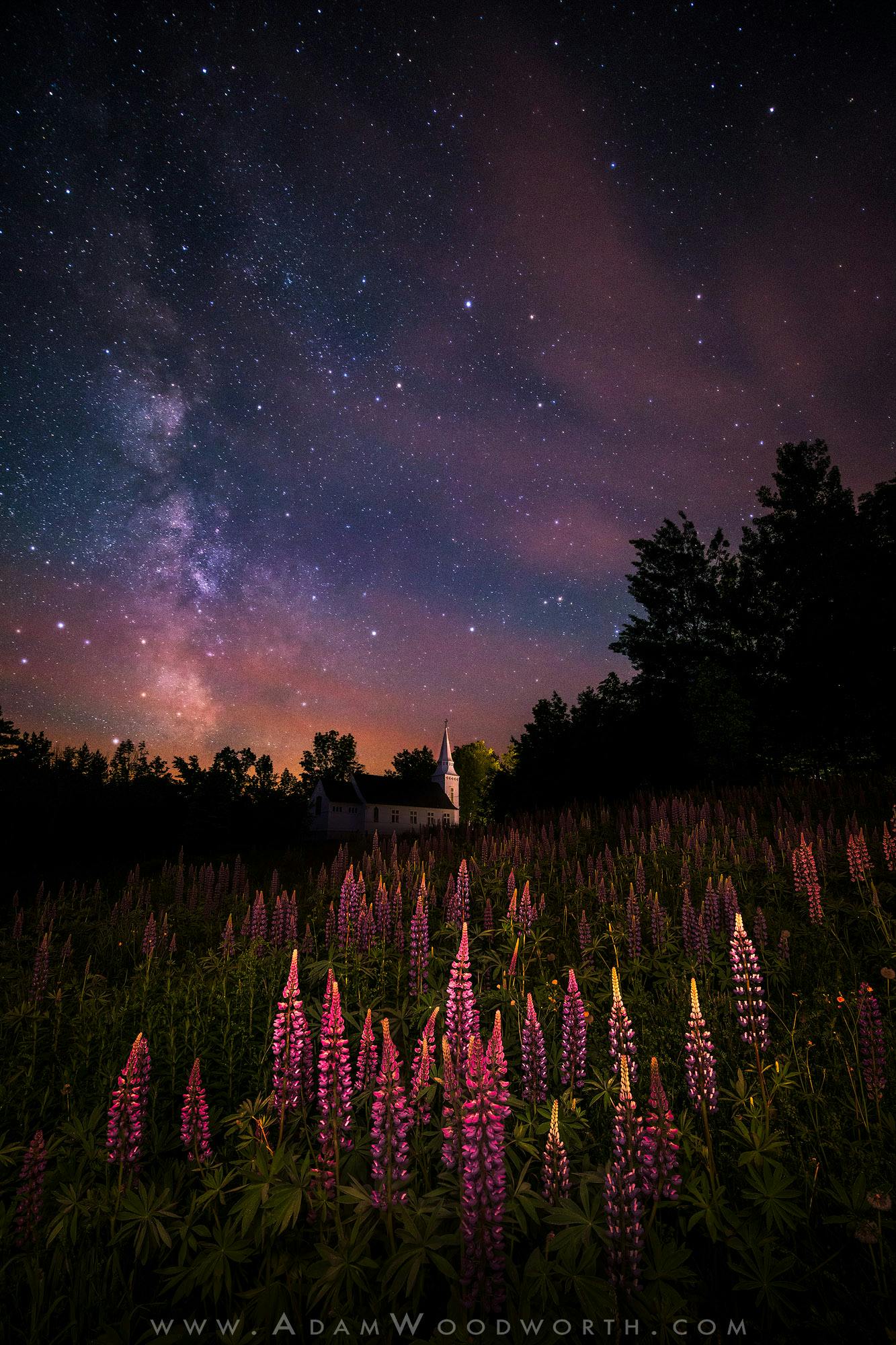 Milky Way Over Lupines and Chapel